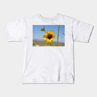 Sun flower, wild flowers, Mojave Desert, California Kids T-Shirt